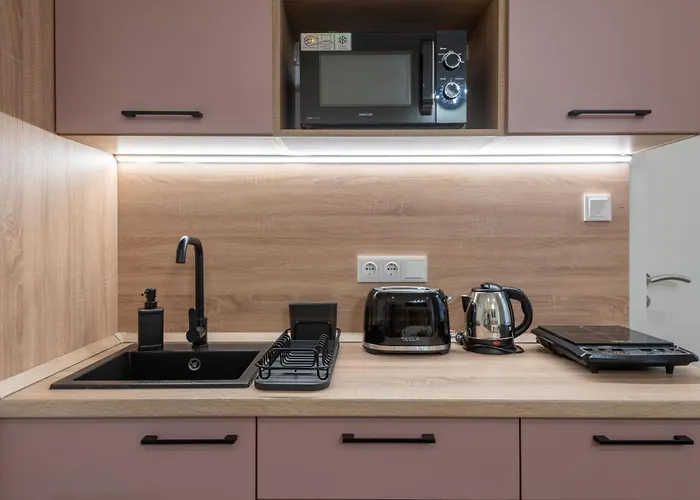 Holidays Downtown 3*